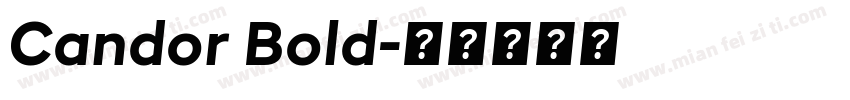 Candor Bold字体转换